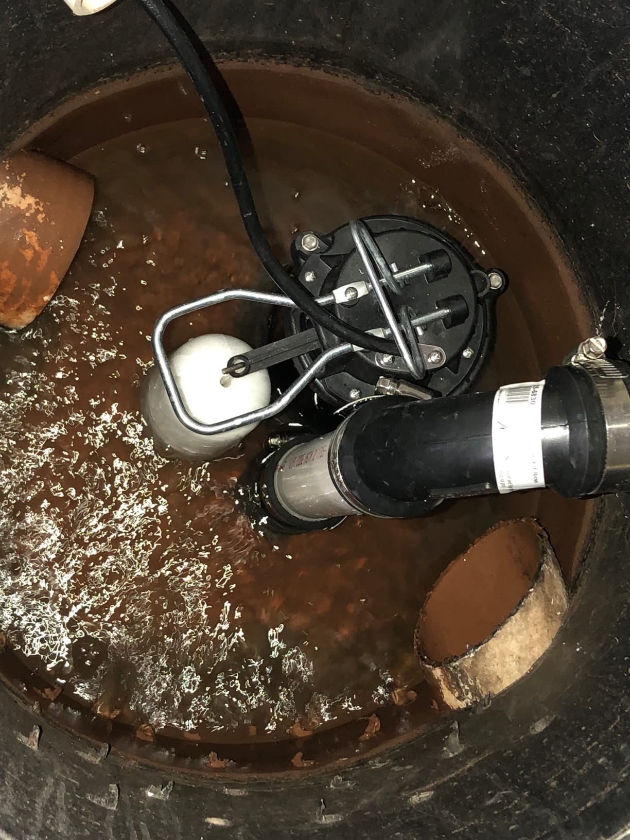 WAYNE CDU800 1/2 HP Submersible Sump Pump – Cast Iron & Stainless Steel, Vertical Float Switch, 5,100 GPH, 3-Year Warranty customer photo 1