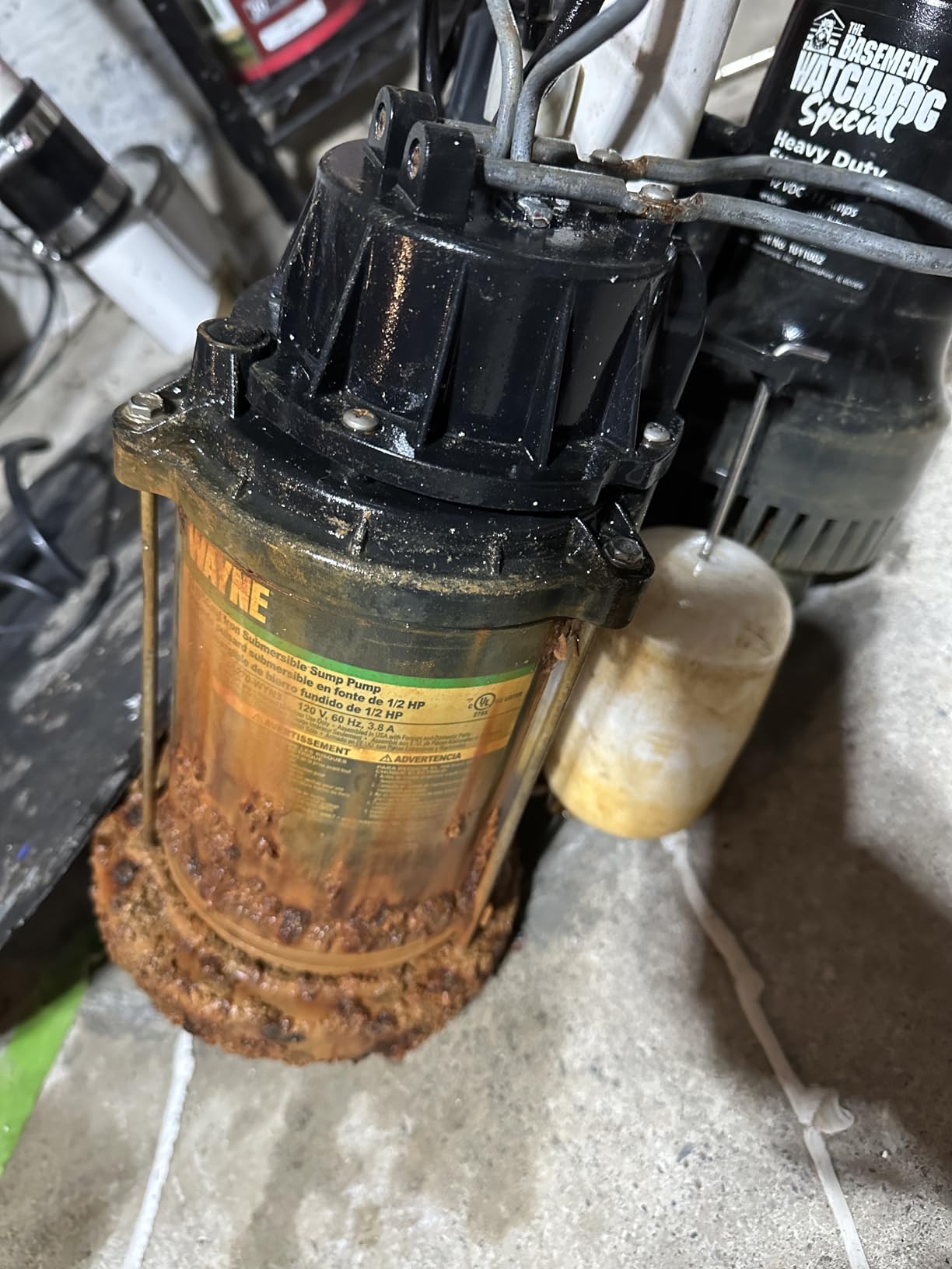 WAYNE CDU800 1/2 HP Submersible Sump Pump – Cast Iron & Stainless Steel, Vertical Float Switch, 5,100 GPH, 3-Year Warranty customer photo 2