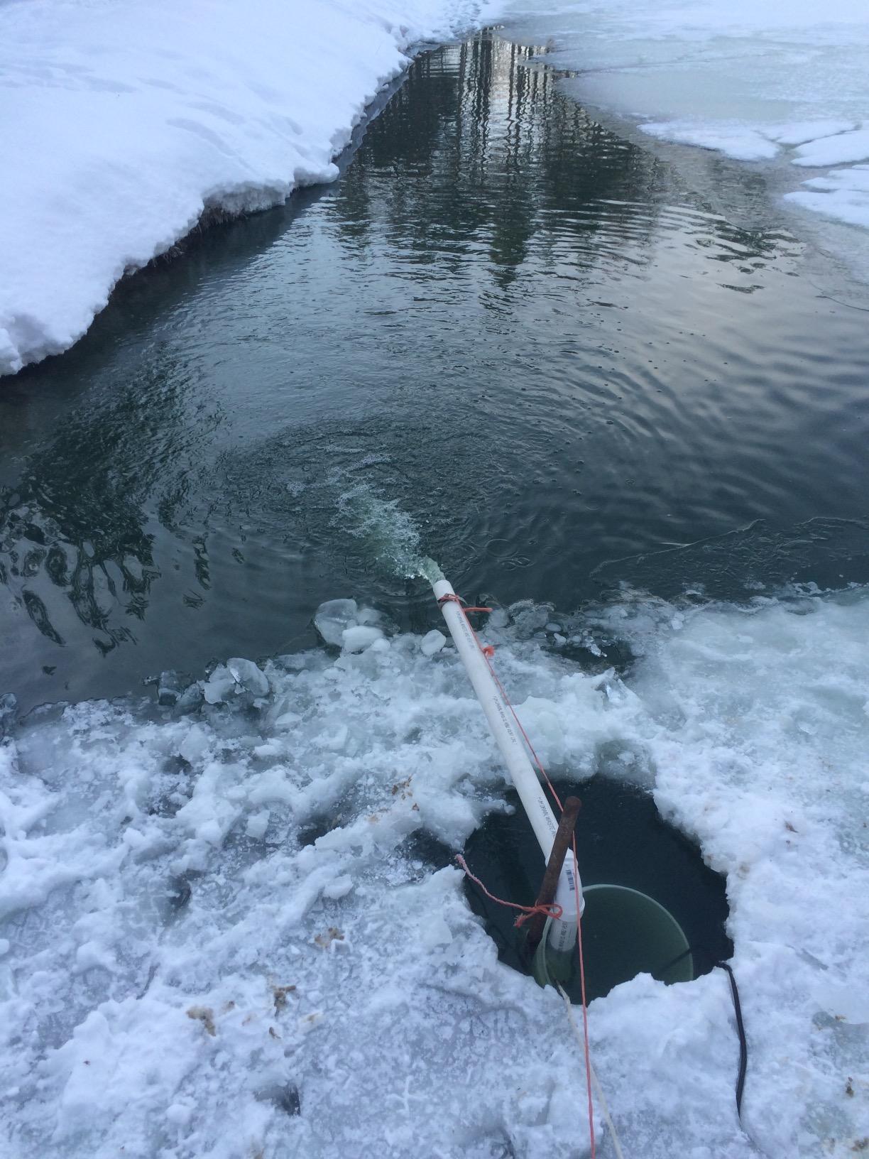 Superior Pump 92341 1/3 HP Cast Iron Submersible Sump Pump with Vertical Float Switch customer photo 1