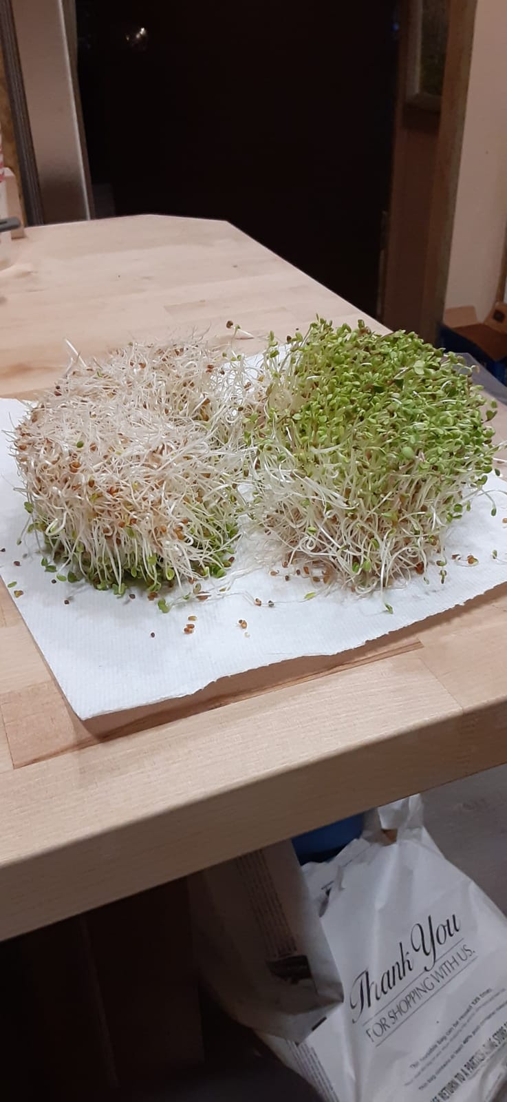 Handy Pantry Complete Sprouts Growing Kit | Sprouting Kit with 3 Stackable Sprouting Trays | Seed Sprouter, BPA-Free | Includes Organic Sprouting Seeds & Instructions customer photo 1