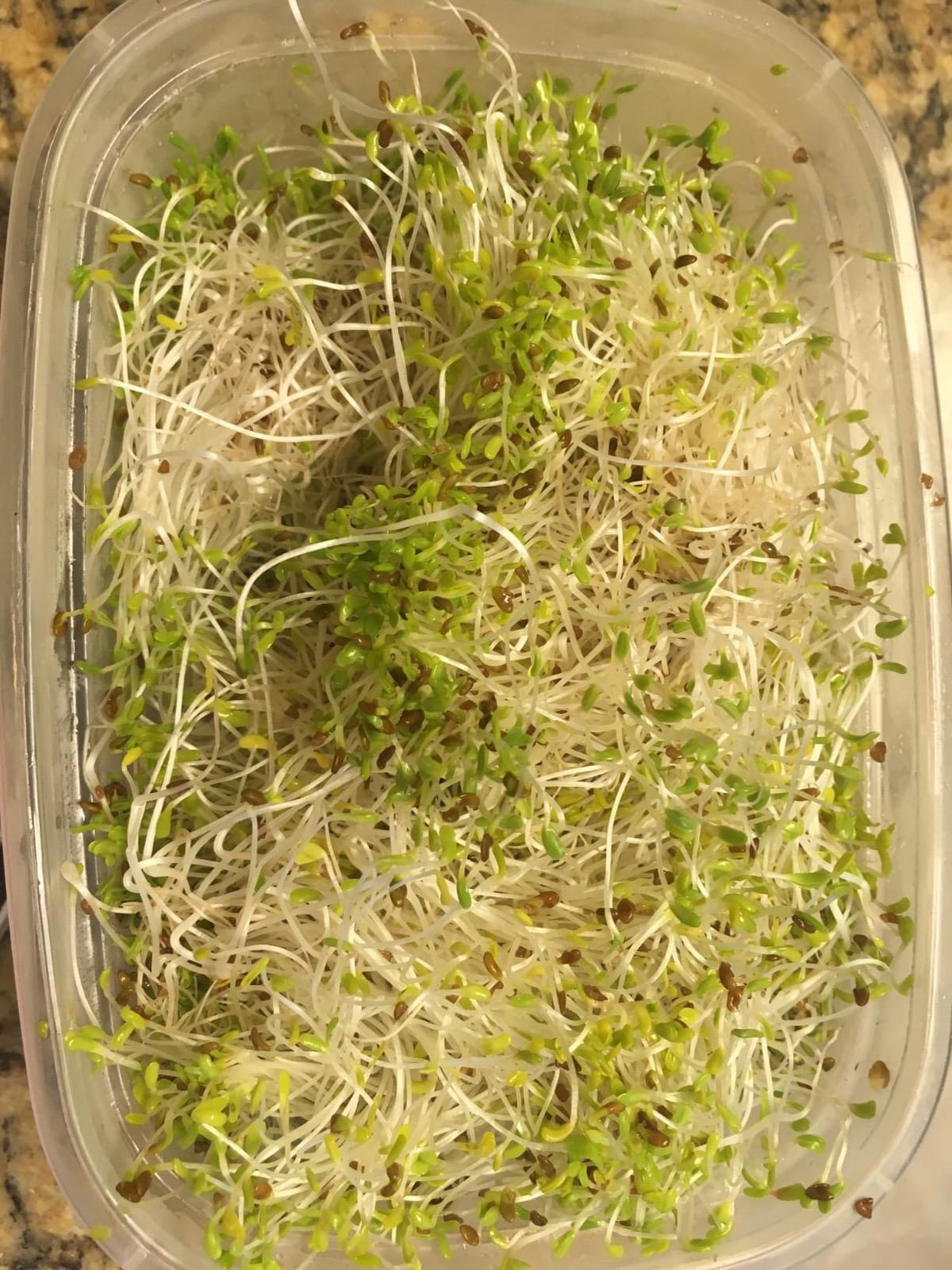 Handy Pantry Complete Sprouts Growing Kit | Sprouting Kit with 3 Stackable Sprouting Trays | Seed Sprouter, BPA-Free | Includes Organic Sprouting Seeds & Instructions customer photo 2