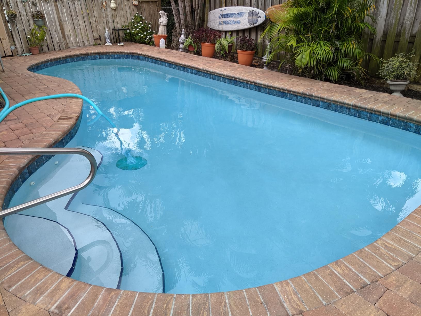 Poolmaster 5-Inch Stainless Steel Pool Algae Detail Brush, Heavy-Duty Aluminum Back, for Gunite Concrete Pools and Spas, Small Narrow Head for Corners, Steps and Tight Areas customer photo 2