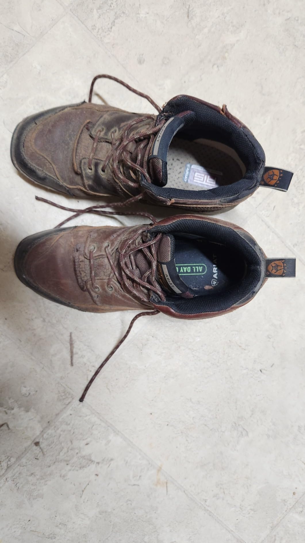 ARIAT Women's Terrain Hiking Boots customer photo 1