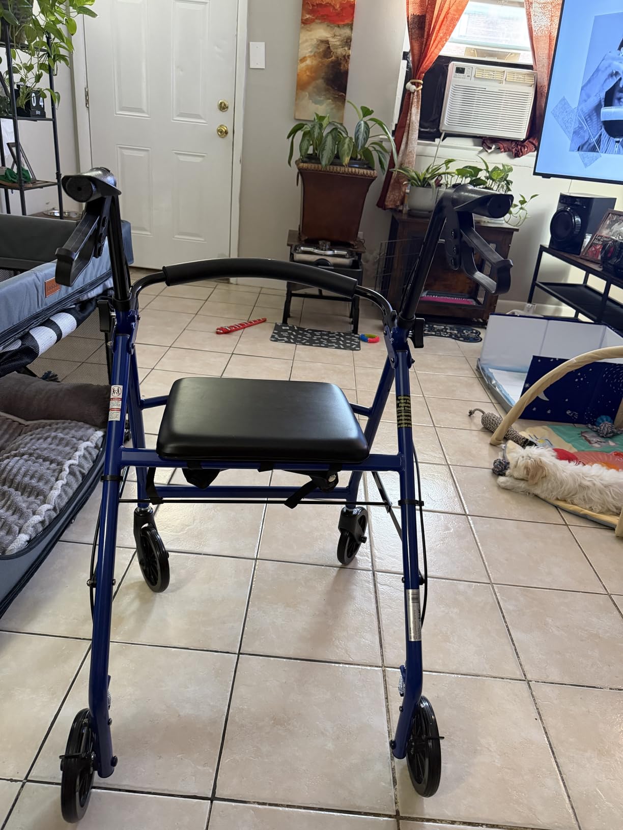 Drive Medical Aluminum Rollator Walker, Padded Seat, 6-Inch Wheels, Blue customer photo 1
