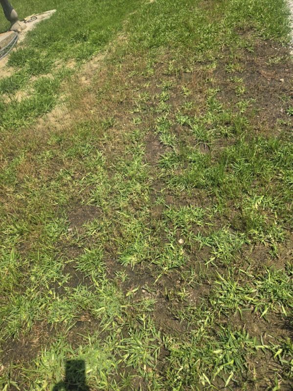 ProPlugger 5-IN-1 Lawn Tool and Garden Tool, Bulb Planter, Weeder, Sod Plugger, Annual Planter, Soil Test customer photo 2