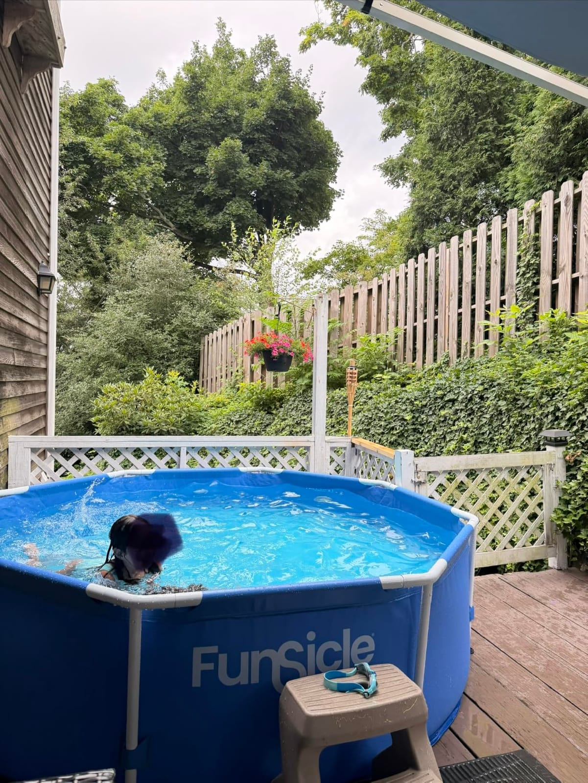 INTEX C1000 Krystal Clear Cartridge Filter Pump for Above Ground Pools: 1000 GPH Pump Flow Rate – Improved Circulation and Filtration – Easy Installation – Improved Water Clarity – Easy-to-Clean customer photo 1