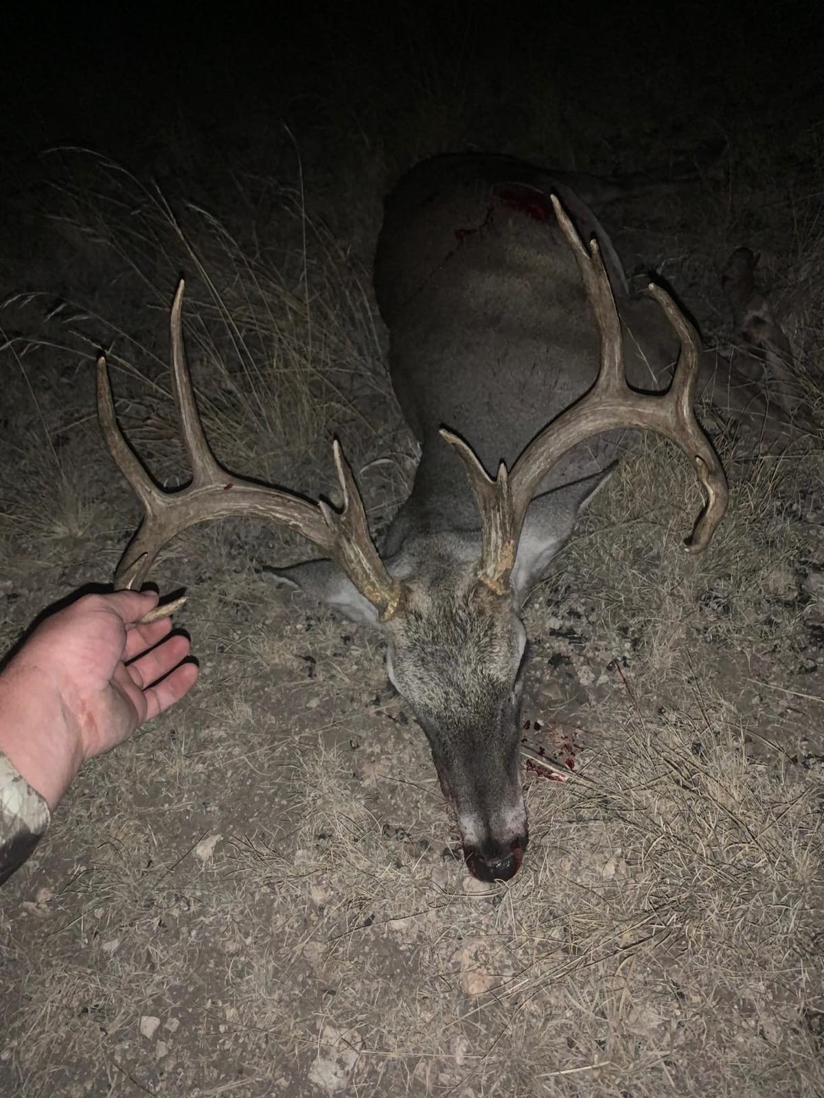 QADFixed Blade Broadheads customer photo 1