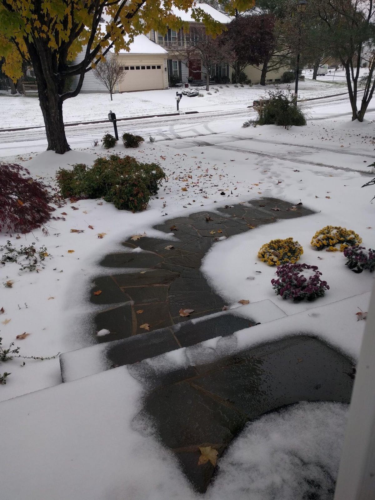 WarmlyYours PowerMat Snow Melting Mat, 3 x 10 ft, 30 sqft customer photo 1