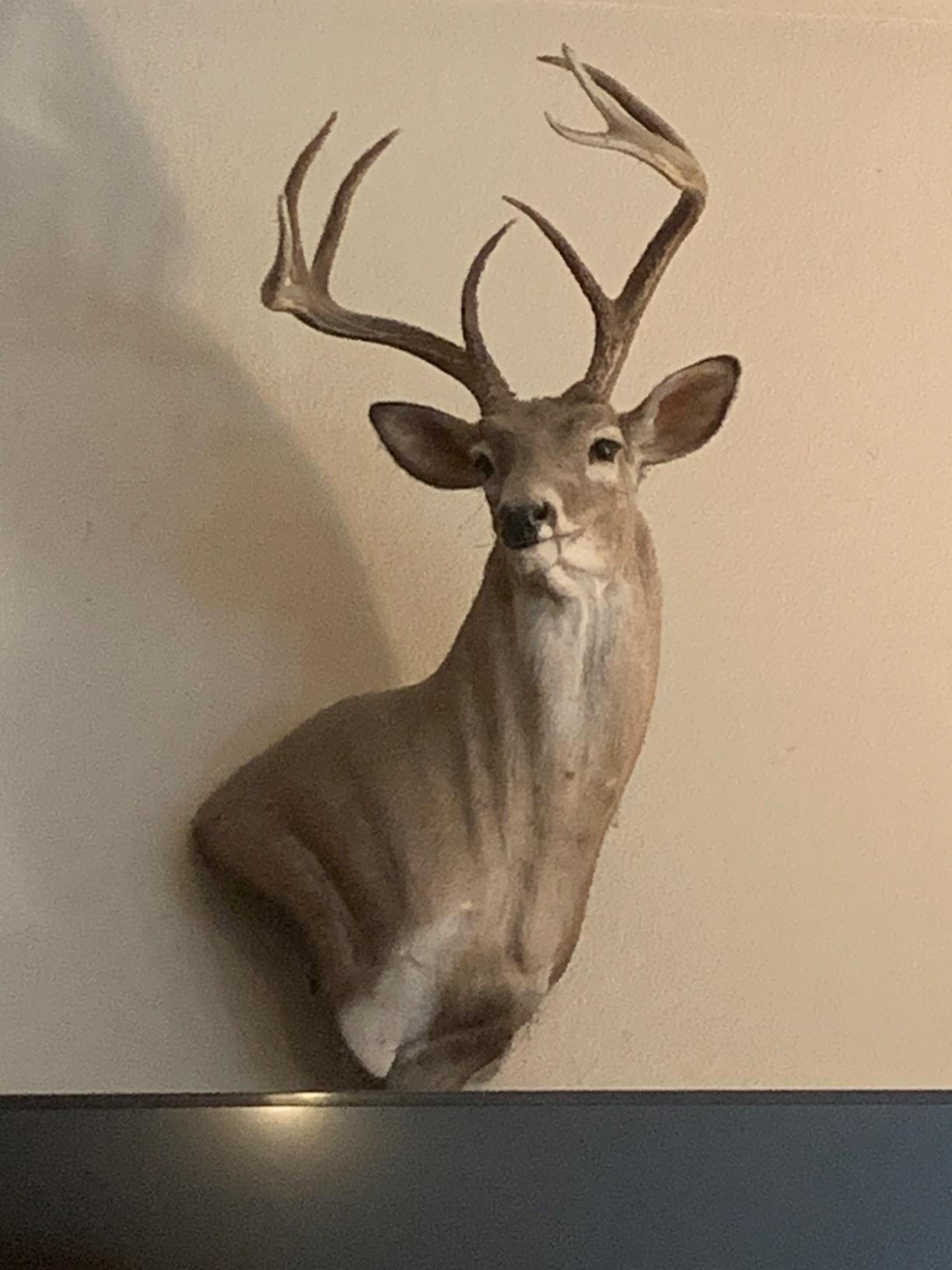 Slick Trick Standard Pro Series and Magnum Broadheads customer photo 1