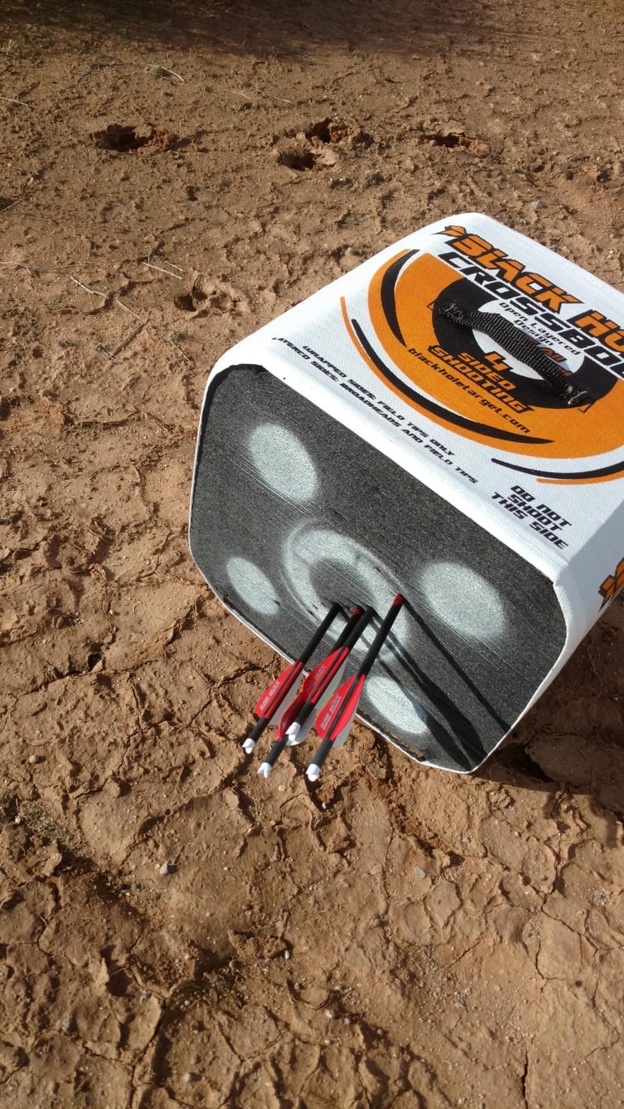 Black Hole 4-Sided Archery Target, Uses Friction Not Force to Stop All Field Points and Broadheads, Open-Face Layered Design, Lightweight and Carry Strap for Portability customer photo 2