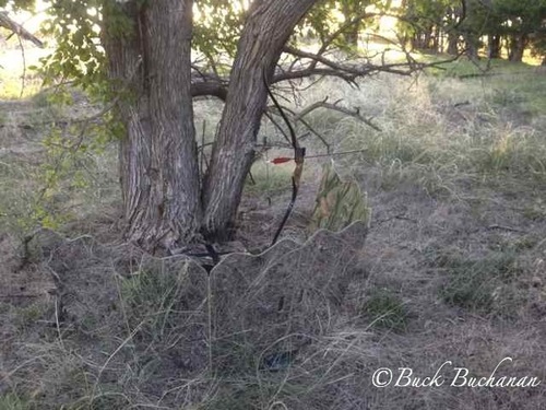 GhostBlind Ground Hunting Blind with Mirrored Panels, Ideal for Turkey and Deer Hunting customer photo 2