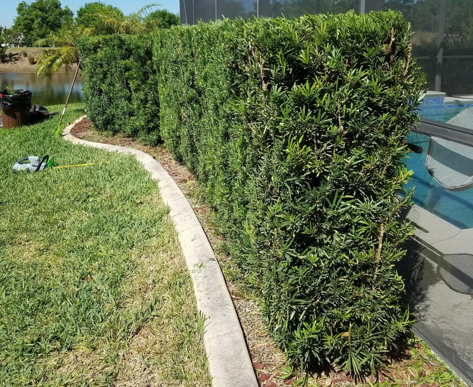 EGO Power+ HT2400 24-Inch 56-Volt Lithium-ion Cordless Hedge Trimmer - Battery and Charger Not Included Green customer photo 1