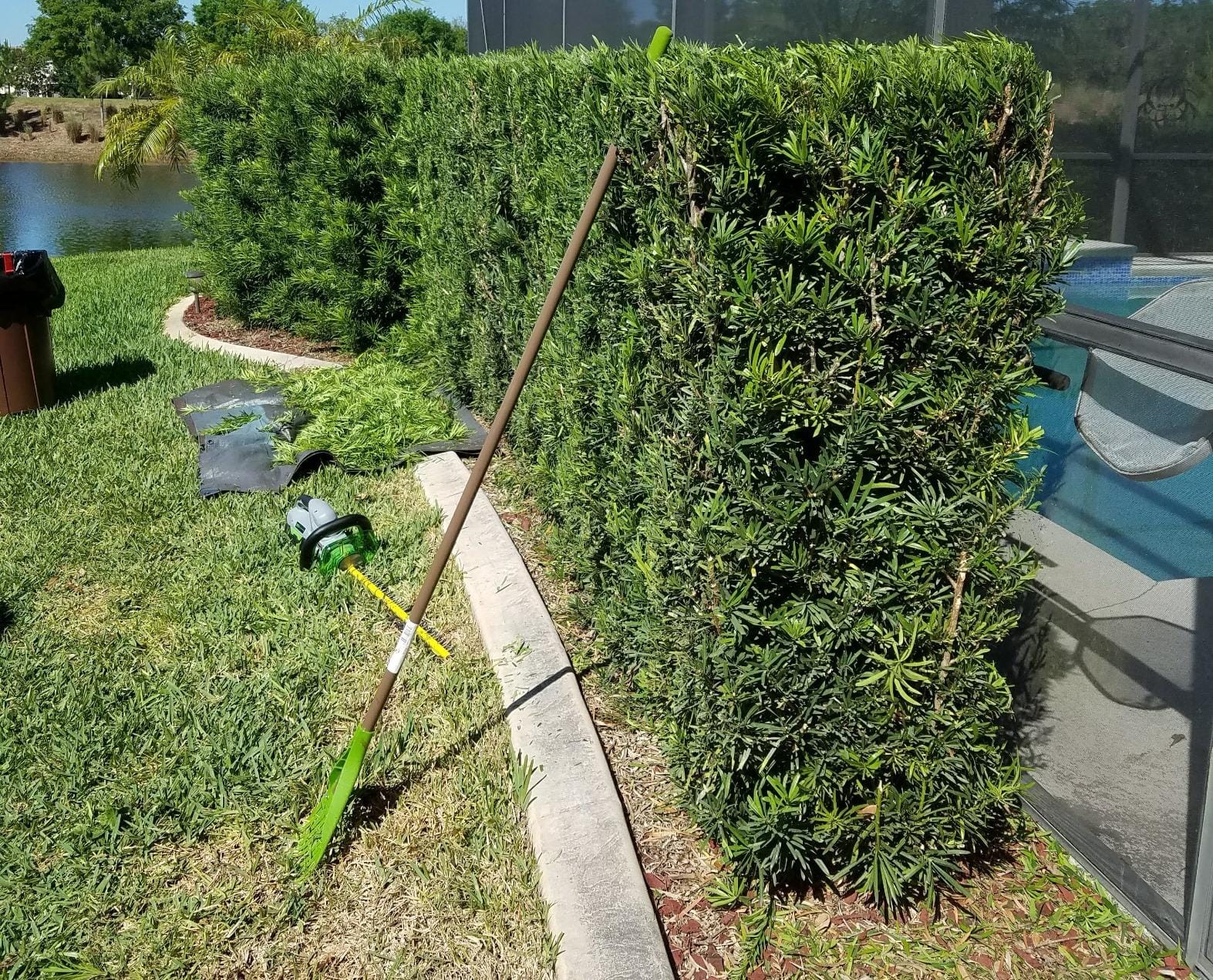 EGO Power+ HT2400 24-Inch 56-Volt Lithium-ion Cordless Hedge Trimmer - Battery and Charger Not Included Green customer photo 2