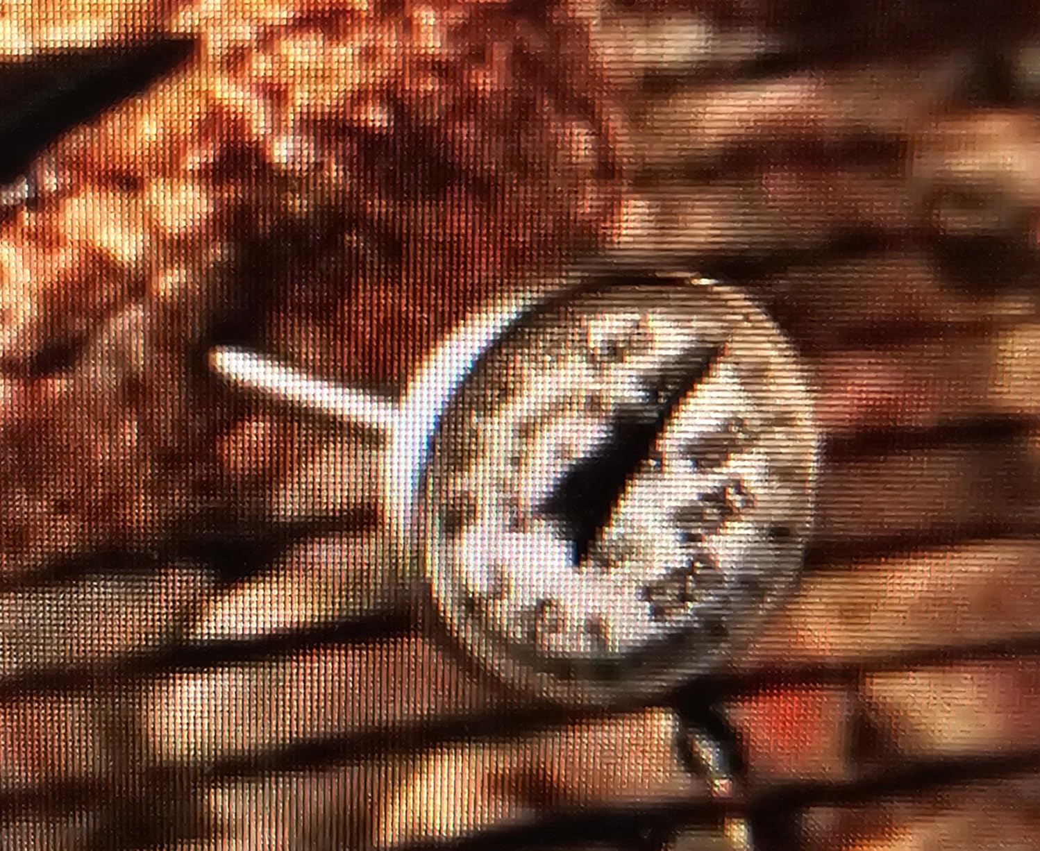 Alpha Grillers Instant Read Meat Thermometer Digital, Cooking, Food, Grill customer photo 1