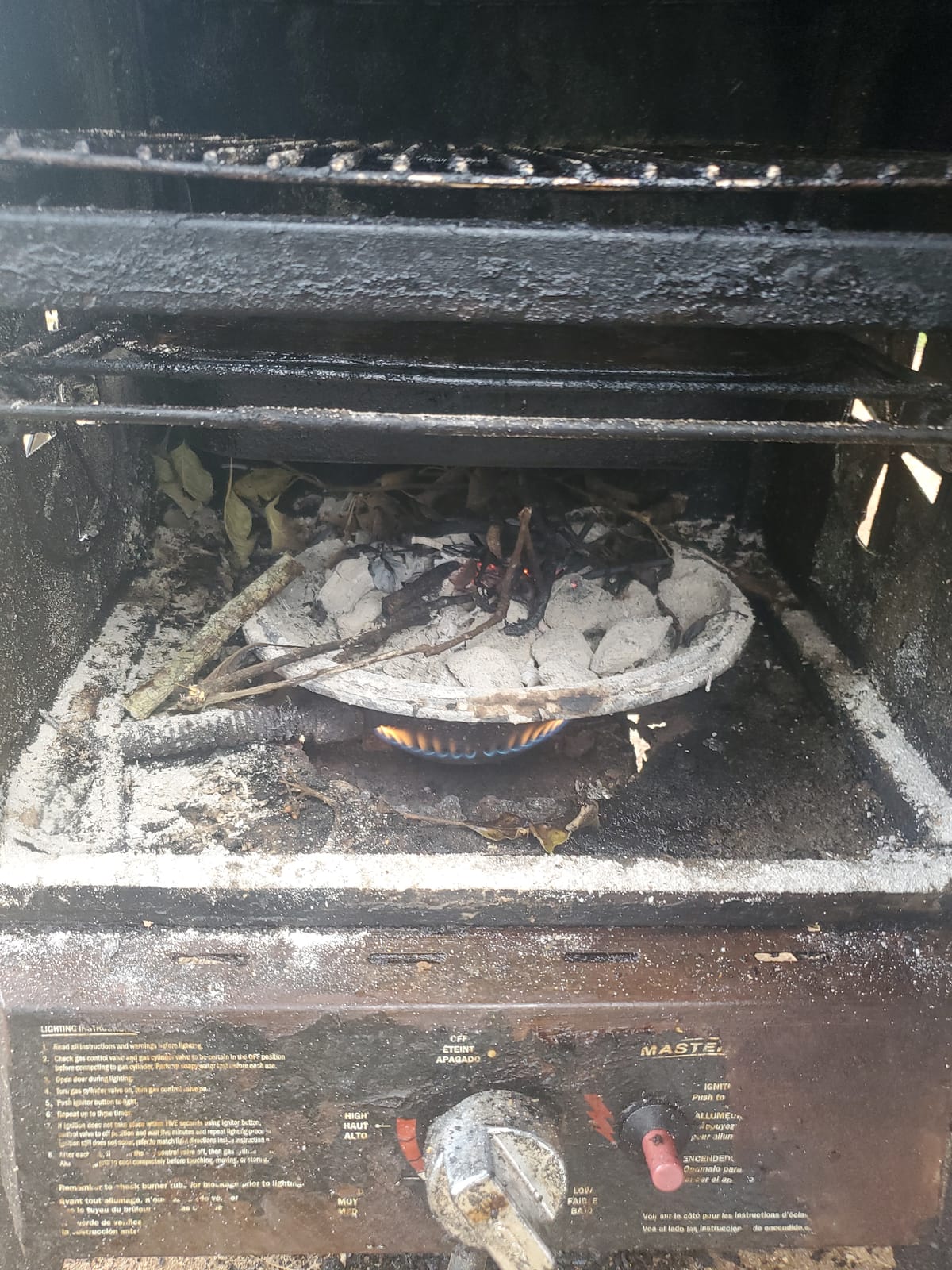 Masterbuilt GS30D Propane 2-Door Smoker customer photo 2