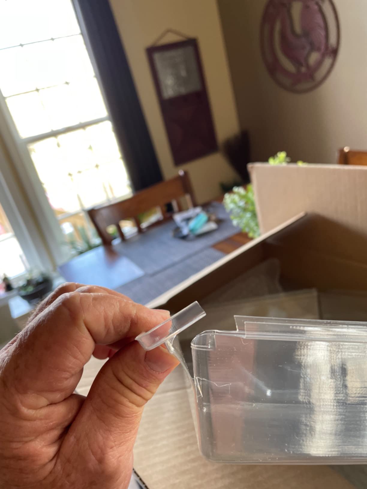 Living Whole Foods Plant Tray Clear Plastic Humidity Domes: Pack of 10 - Fits 10 Inch x 20 Inch Garden Germination Trays - Greenhouse Grow Covers customer photo 1