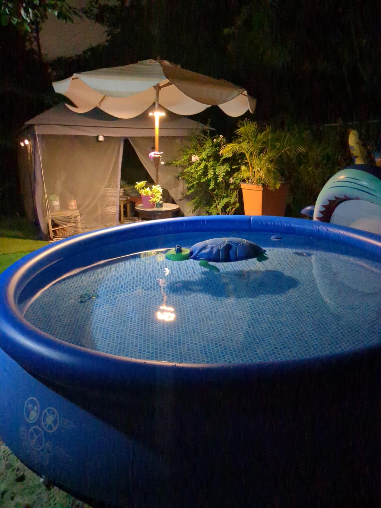 INTEX Easy Set 13ft x 33in Inflatable Ring Above Ground Pool Set w/ Pump customer photo 1