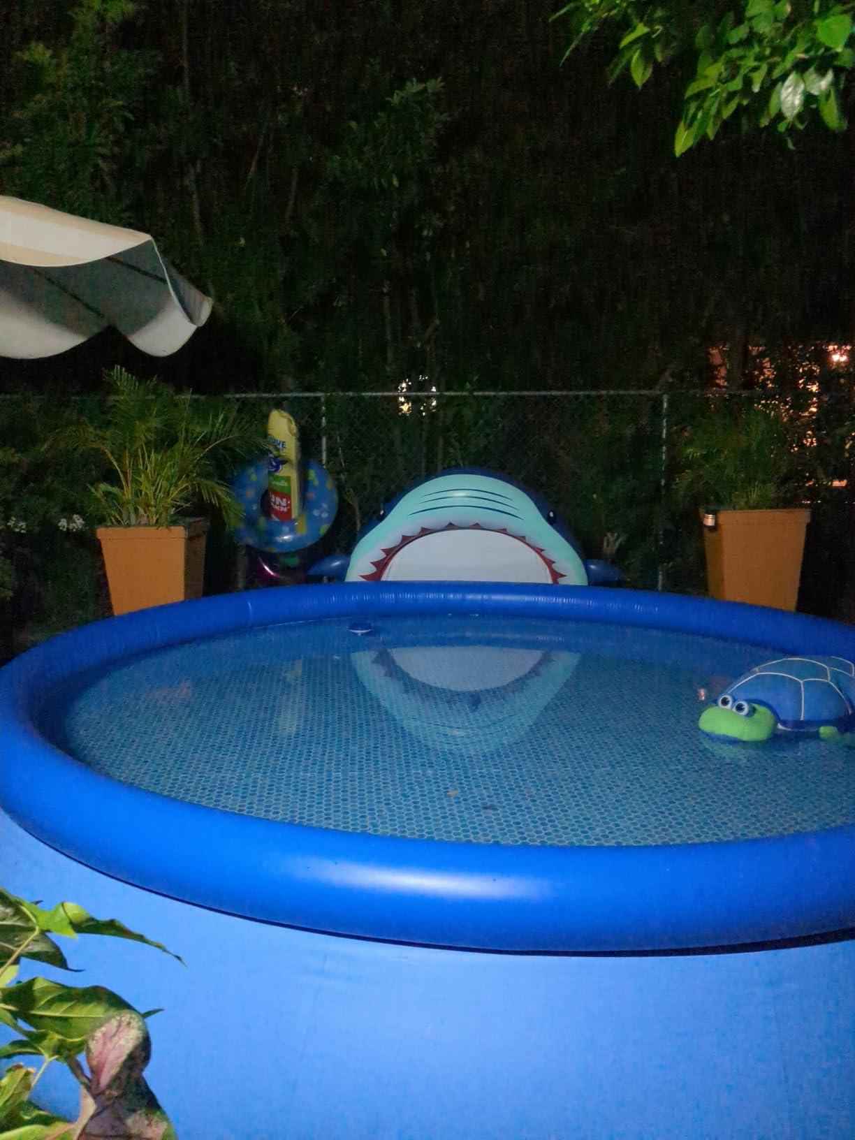 INTEX Easy Set 13ft x 33in Inflatable Ring Above Ground Pool Set w/ Pump customer photo 2