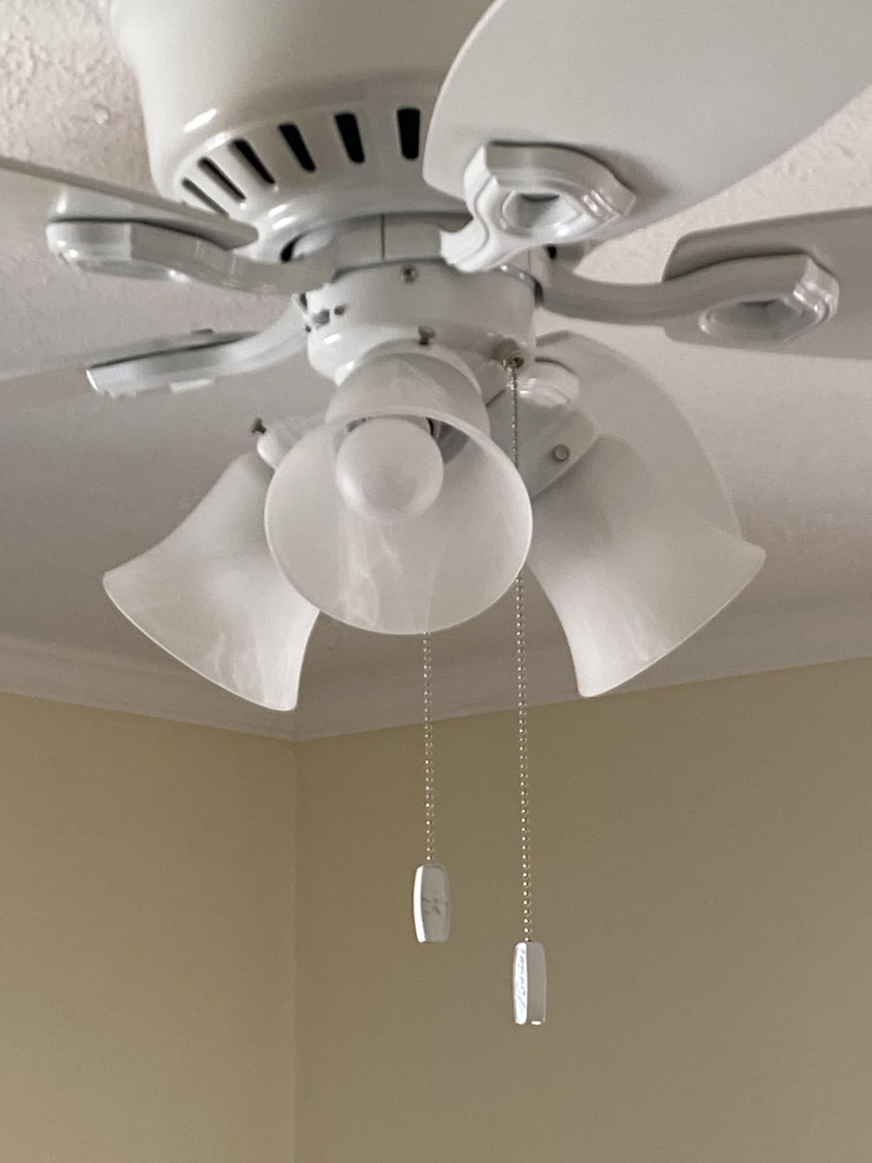 Hunter Builder, Indoor, Ceiling Fan, with LED Lights, 52 inch, New Bronze customer photo 1
