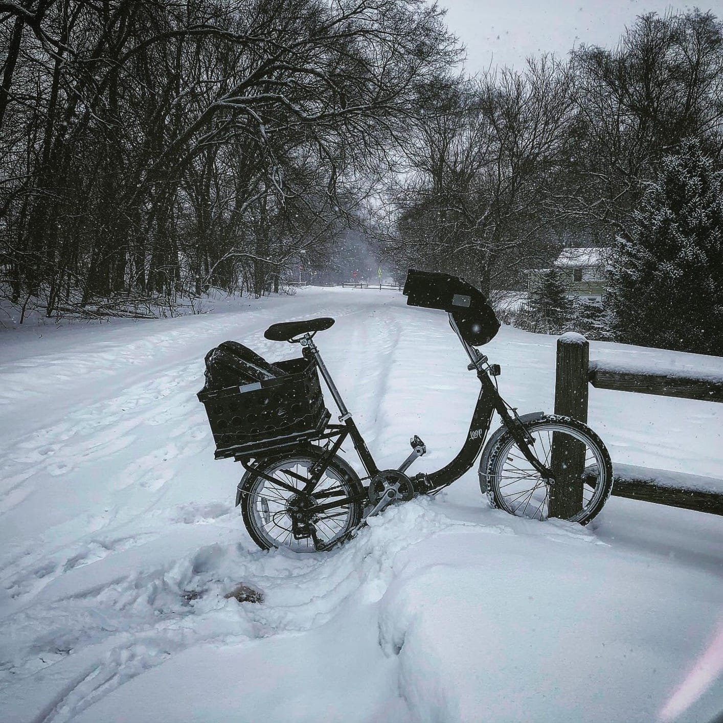 Schwinn Loop customer photo 1