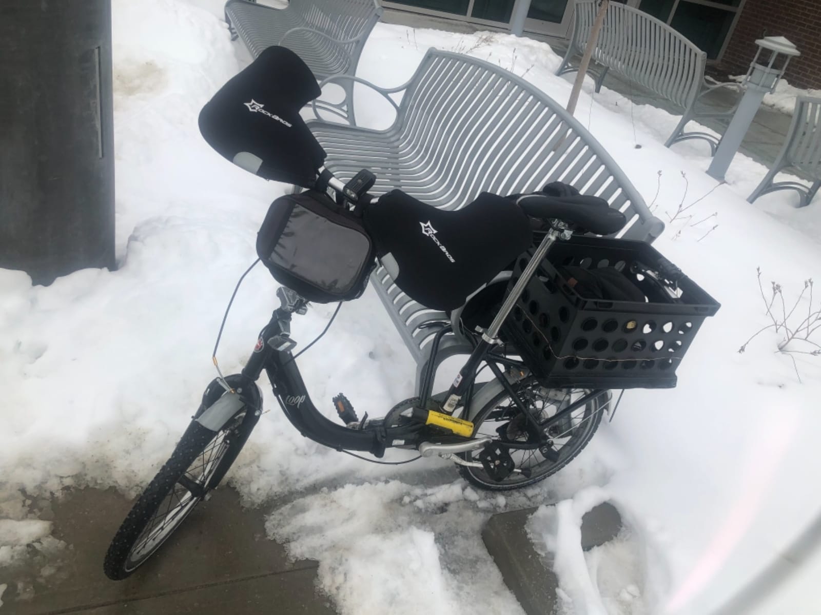 Schwinn Loop customer photo 2