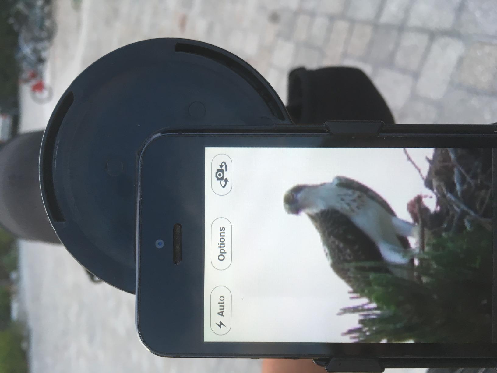 Vortex Razor HD Spotting Scope (27-60x85 Angled) customer photo 2