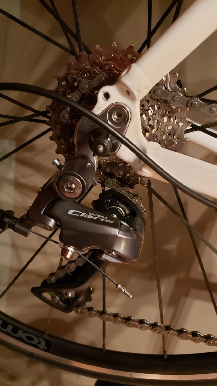 Tommaso Forcella Sport Bike Performance Aluminum Road Bike Carbon Shimano Claris 24 Speeds Road Bicycle Men Road Bikes for Men customer photo 2