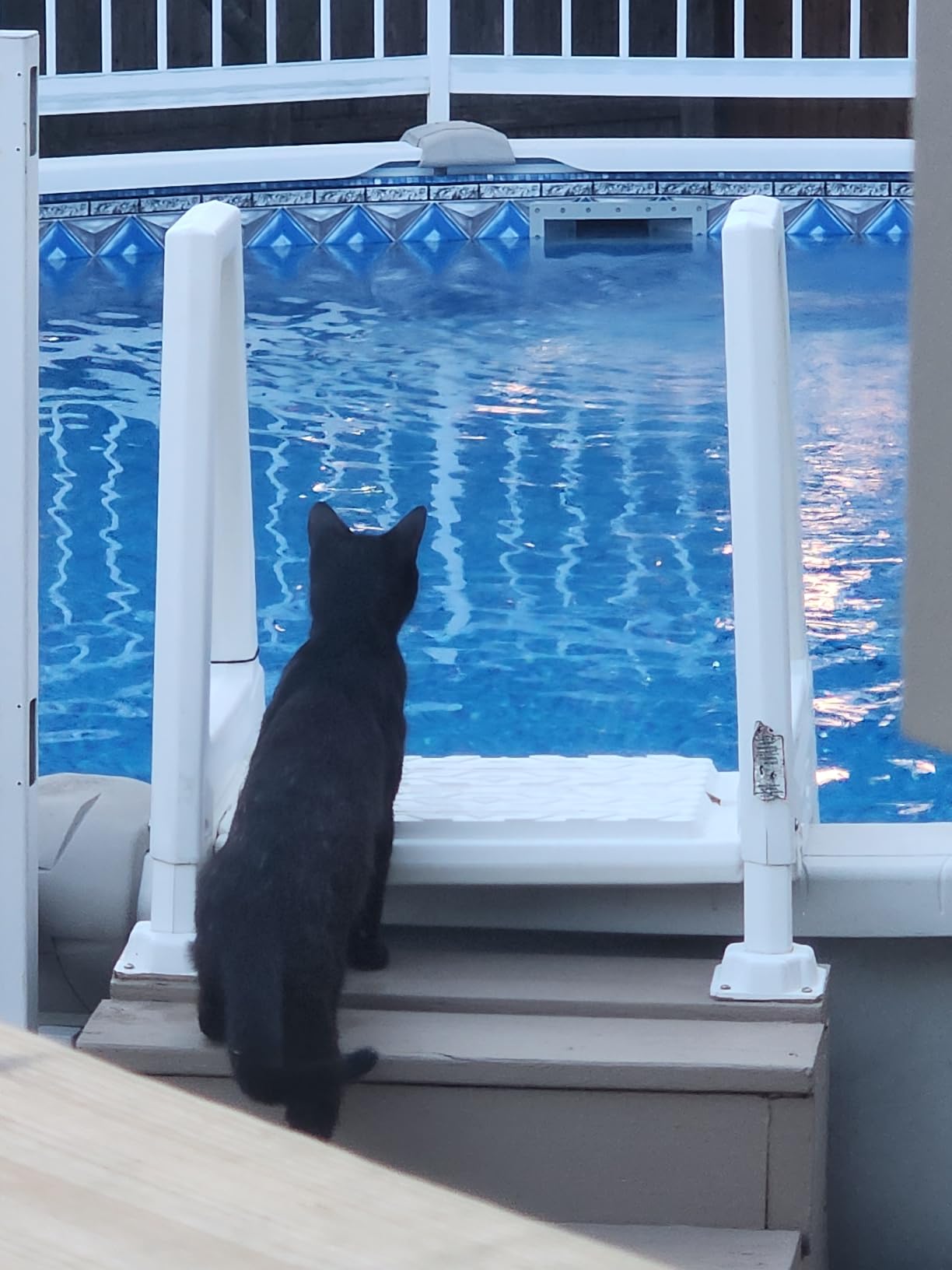 Smartline 27 ft Round Swimming Pool Liner | Crystal Tile customer photo 1