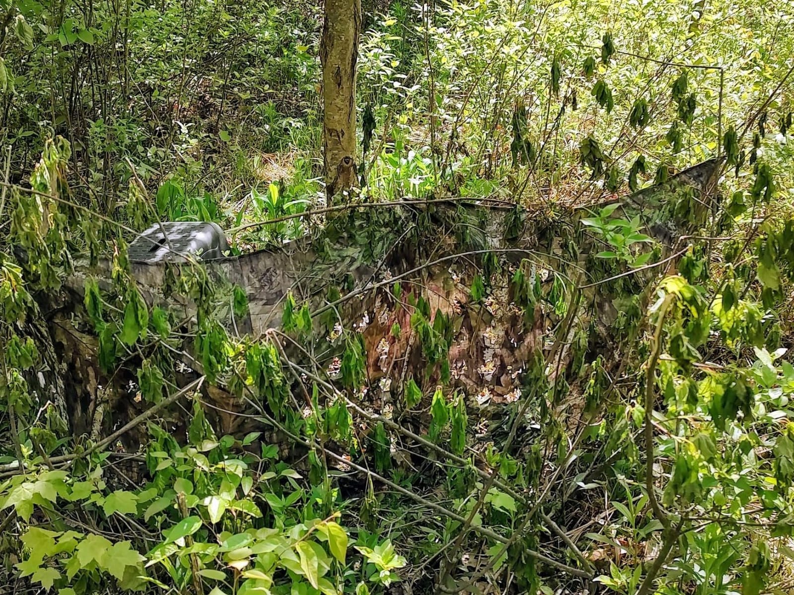 Ameristep Throwdown Ground 3D Leafy Die-Cut Camo Ultra-Compact Easy-Setup Three-Panel Low-Noise Run-and-Gun 2-Person Hunting Blind customer photo 1