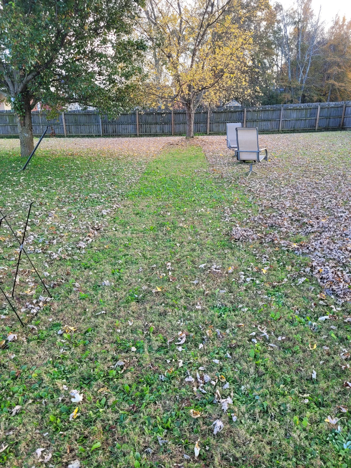 Earthwise LSW70021 21-Inch Width Leaf & Grass Push Lawn Sweeper, Black customer photo 2