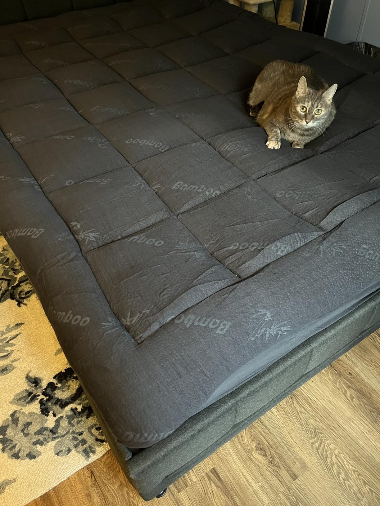 Niagara Sleep Solution Queen Ultra Soft Mattress Topper — Back Pain Relief customer photo 1