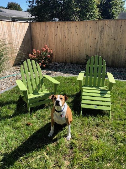 POLYWOOD AD5030NV Classic Folding Adirondack Chair, Navy customer photo 2