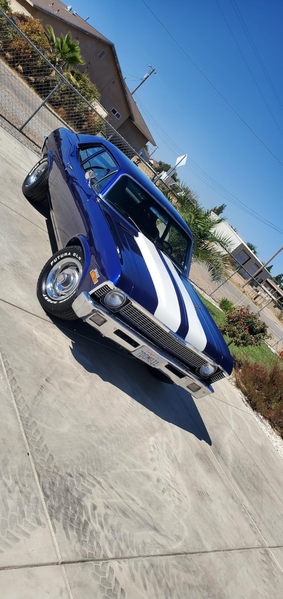 TEC582 CERAMIC DETAIL SPRAY (1 Gallon) customer photo 1