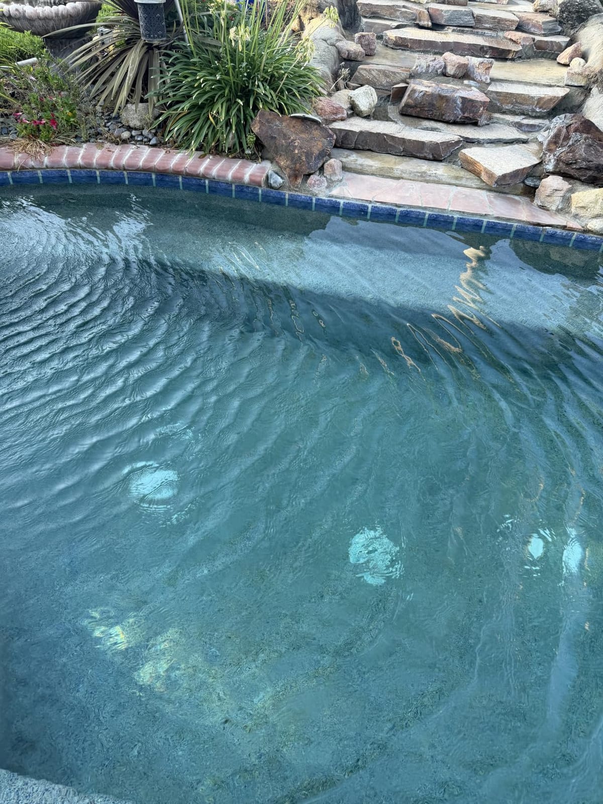 Pool Blok Extra Large Pool Tile Pumice Stone, Non-Toxic, Floats, 2-Pack customer photo 1