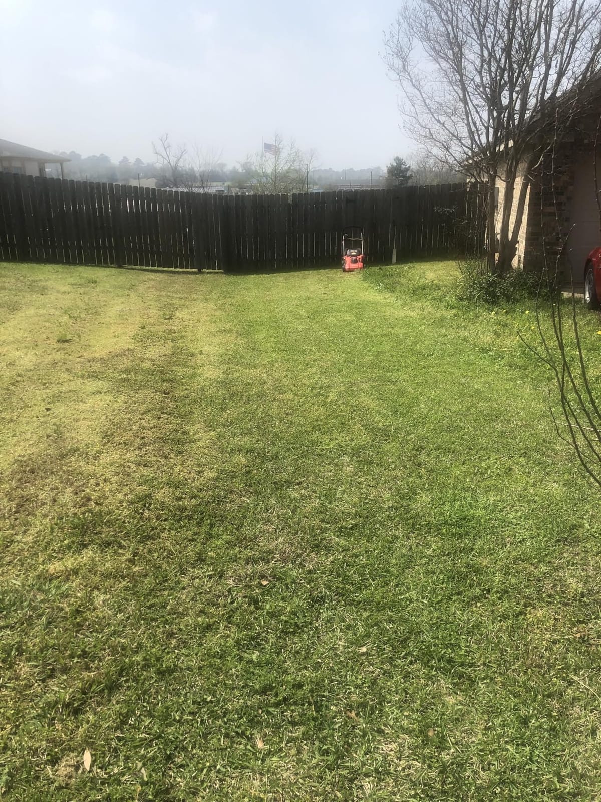 CRAFTSMAN Electric Push Lawn Mower, 20-Inch Deck, Corded, Powerful 13-AMP Motor, 6 Setting Height Adjustment, Winged Blades, 3 in 1 Bagging, Mulching and Discharge (CMEMW213) customer photo 2