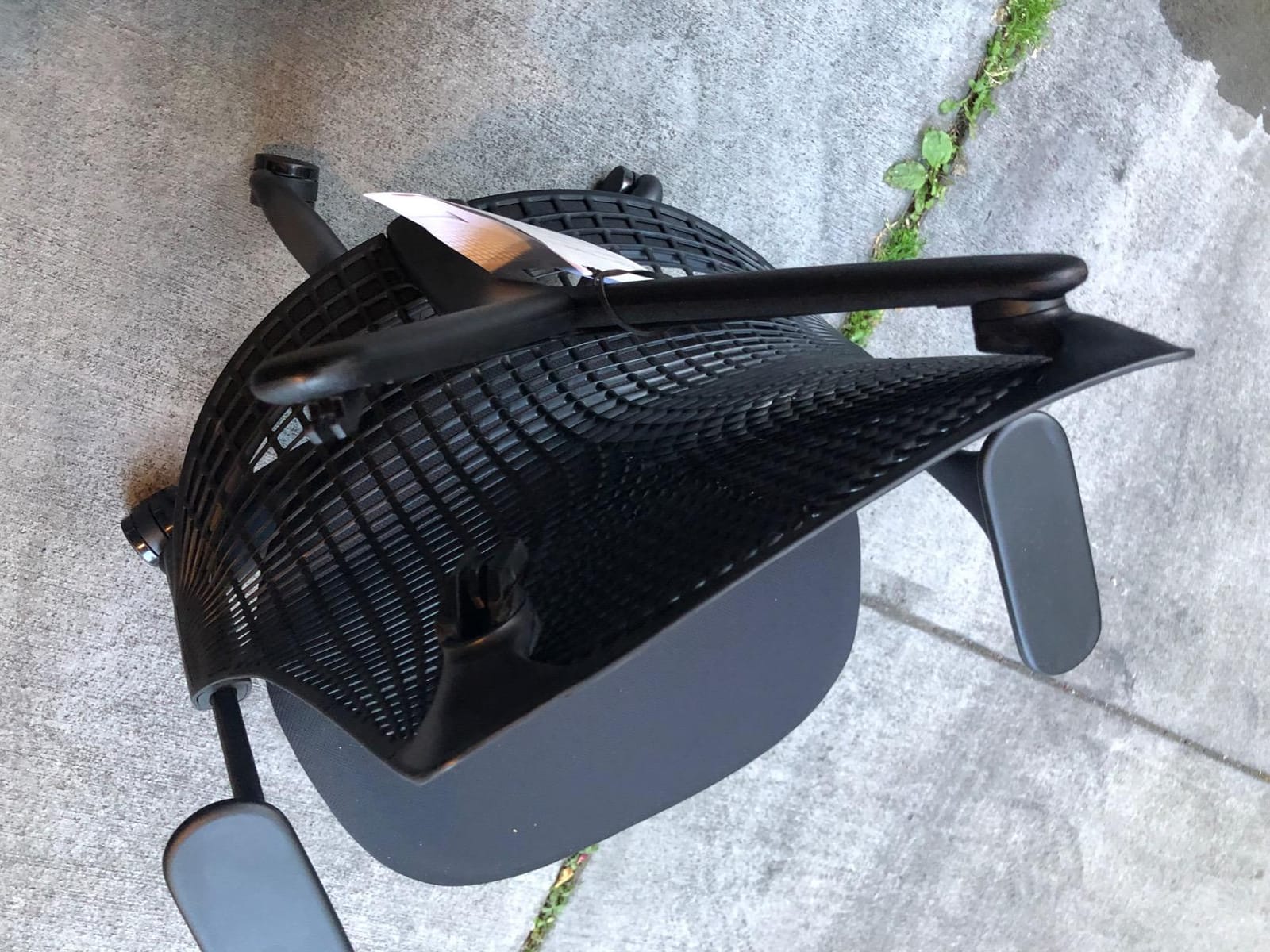 Herman Miller Sayl Chair, Black Rhythm customer photo 2