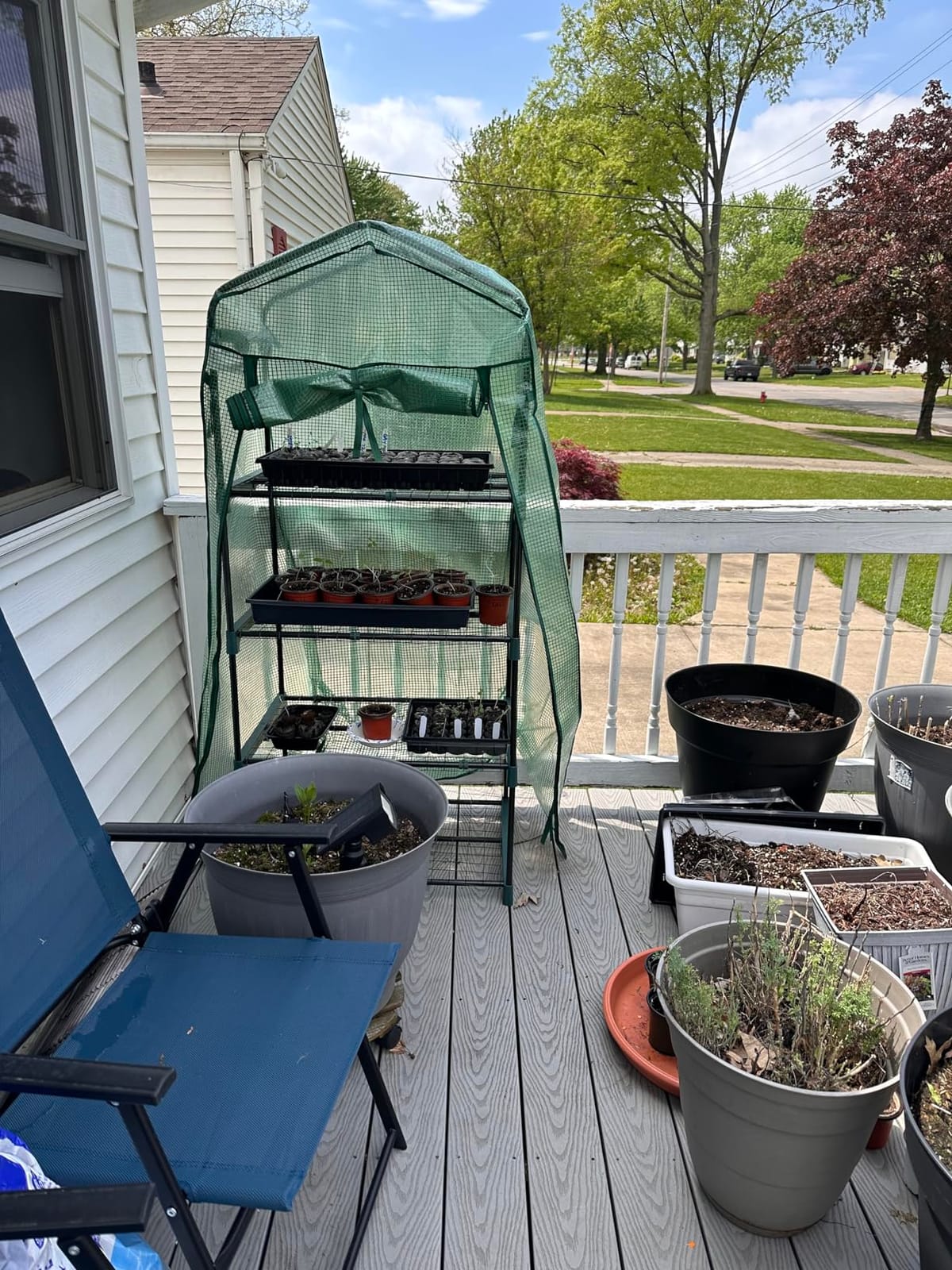 Ohuhu Mini Greenhouse for Indoor Outdoor, 27 x 19 x 62-Inch Small Plant Green House 4-Tier Rack Stand Portable Greenhouses with Durable PE Cover for Seedling, Ideal Gardening Gifts for Women Men customer photo 1