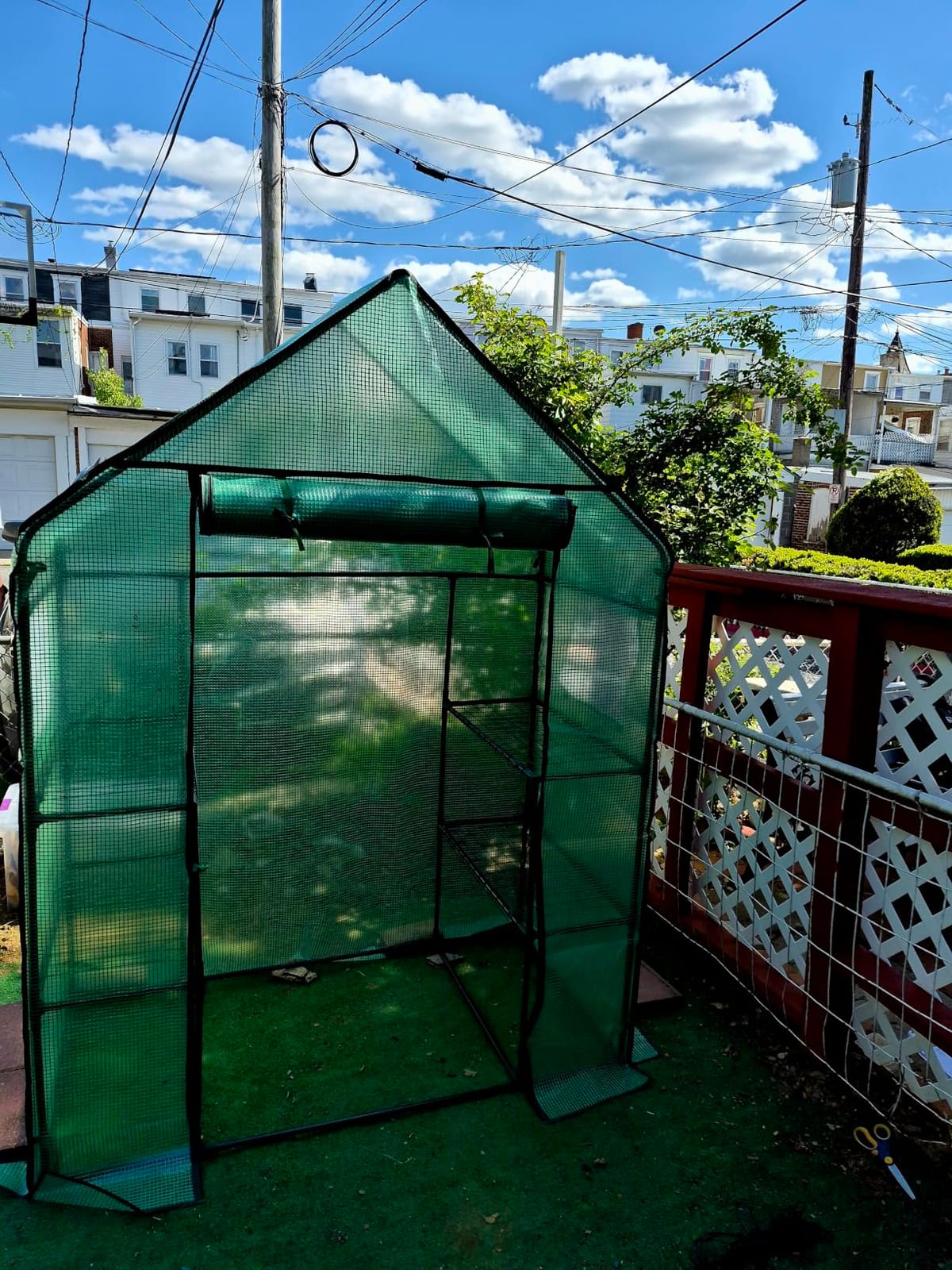 Ohuhu Greenhouse for Outdoors with Screen Windows, 57 x 57 x 76'' Walk in Plant Greenhouses Heavy Duty with Durable PE Cover, 3 Tiers 12 Shelves Stands Plastic Portable Green House with Shelf Clips customer photo 2