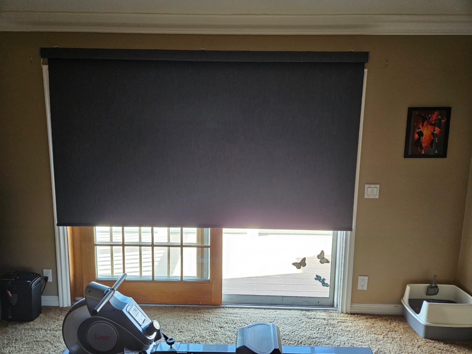 Graywind Motorized Roller Shades Work with Alexa Google customer photo 2