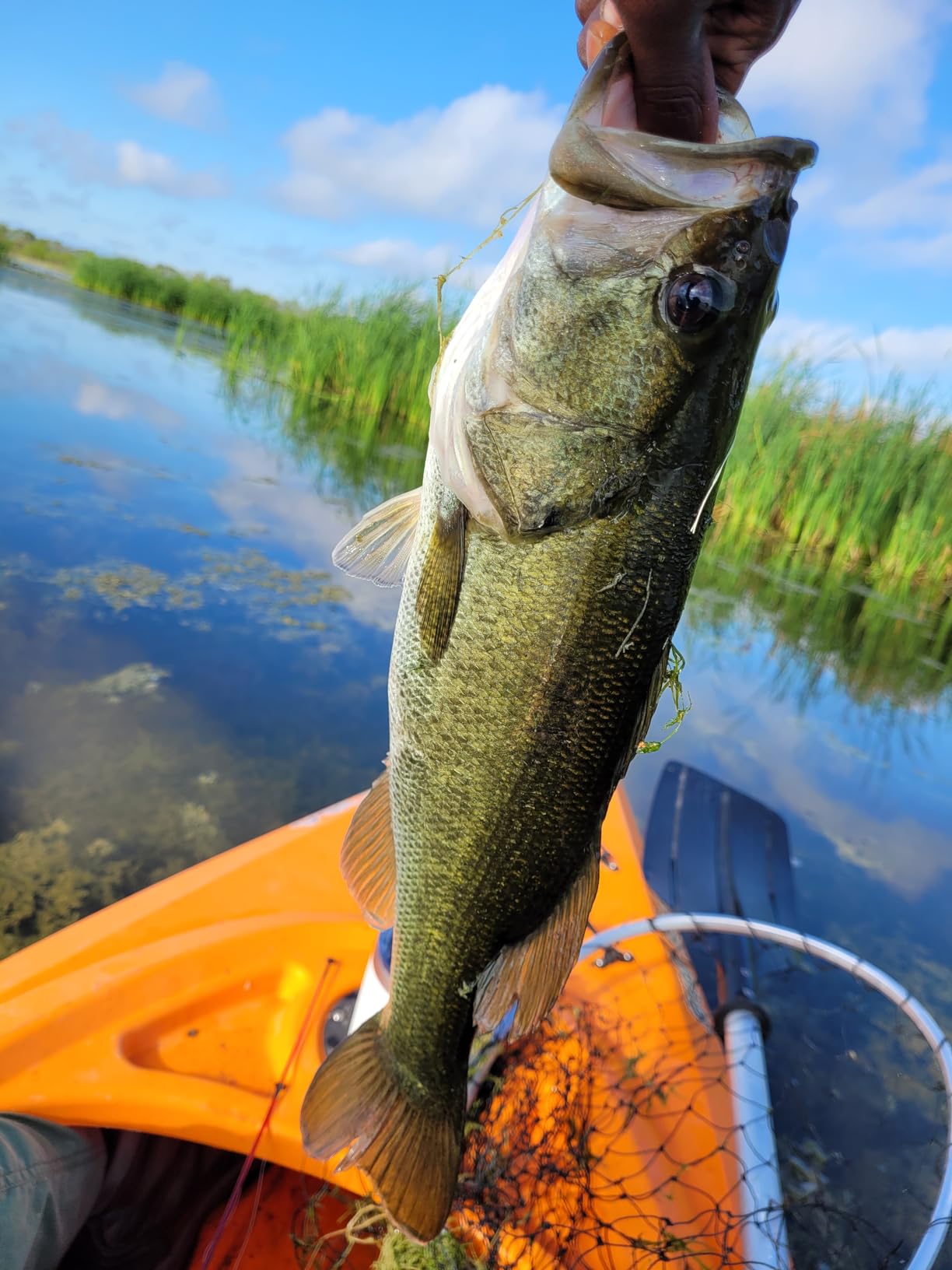 Zebco Dock Demon Spinning Reel or Spincast Reel and Fishing Rod Combo, 30-Inch Durable Fiberglass Rod, QuickSet Anti-Reverse Fishing Reel customer photo 1