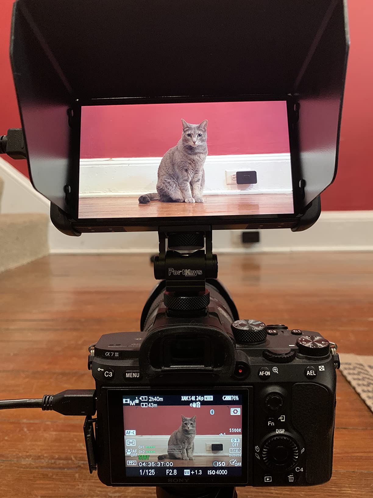 Portkeys PT6 Camera Field Monitor 5.2