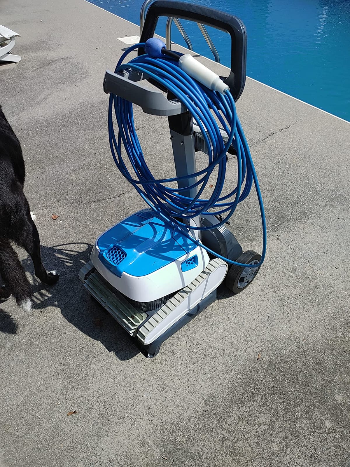 Dolphin Proteus DX4 Plus Automatic Robotic Pool Cleaner Ideal for Pools up to 33 FT, Wall & Sun-ledge Scrubbing, Top-Load Filter, Smart Navigation customer photo 1
