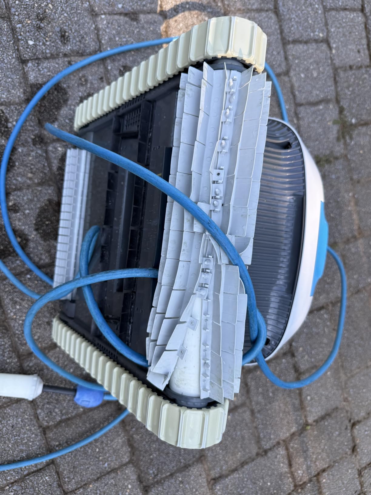 Dolphin Proteus DX4 Plus Automatic Robotic Pool Cleaner Ideal for Pools up to 33 FT, Wall & Sun-ledge Scrubbing, Top-Load Filter, Smart Navigation customer photo 2