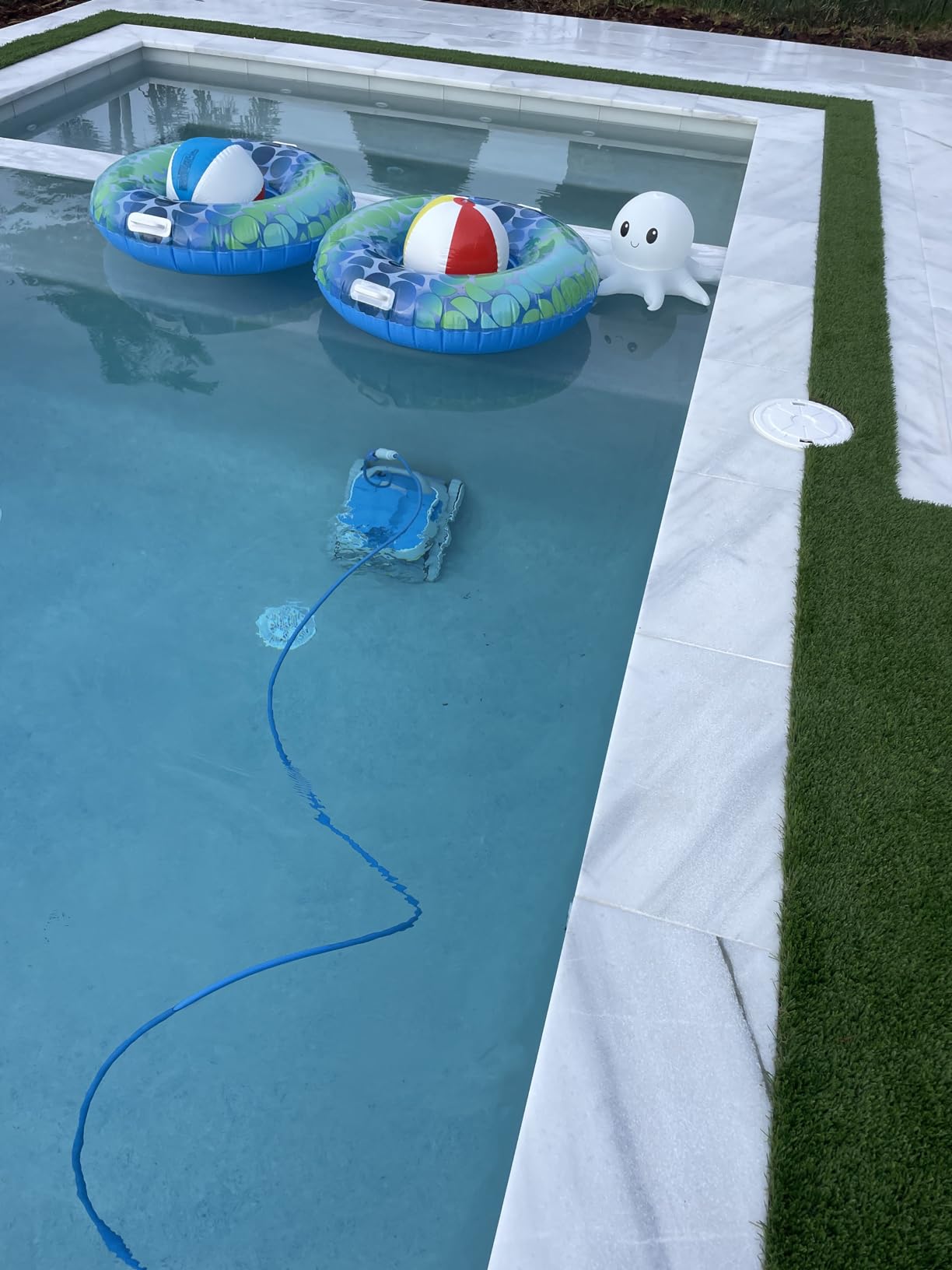 Dolphin Proteus DX5i Wi-Fi Automatic Robotic Pool Vacuum Cleaner, Wall Climbing, Waterline Scrubber Brush, Ideal for In-Ground Pool up to 50 FT in Length customer photo 2