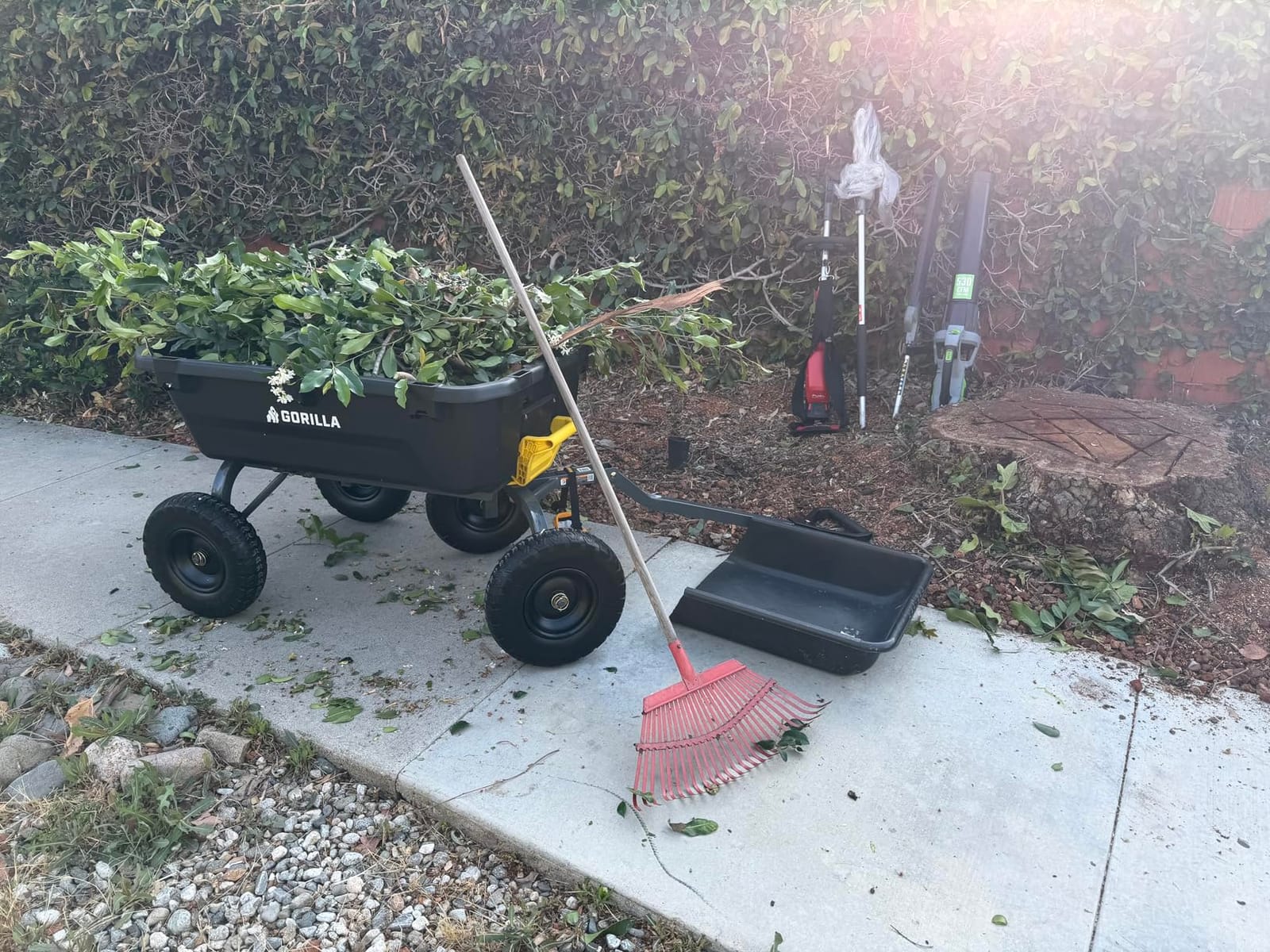 Gorilla Carts Dump Garden Cart, 4 Cu Ft, 600 lb Capacity, No-Flat Tires customer photo 2