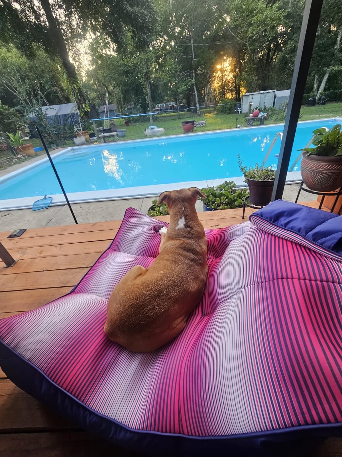 Big Joe Captain's Float No Inflation Needed Pool Lounger with Drink Holder, Blurred Blue Double Sided Mesh, Quick Draining Fabric, 3 feet customer photo 2