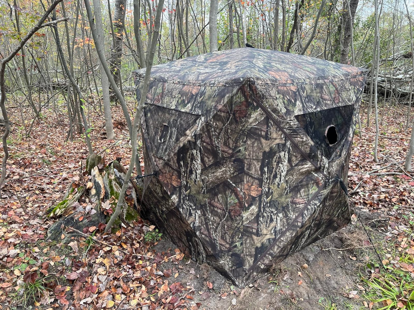 Ameristep Brickhouse Hunting Blind | 3-Person Ground Blind in Mossy Oak Break-Up Country, One Size customer photo 1