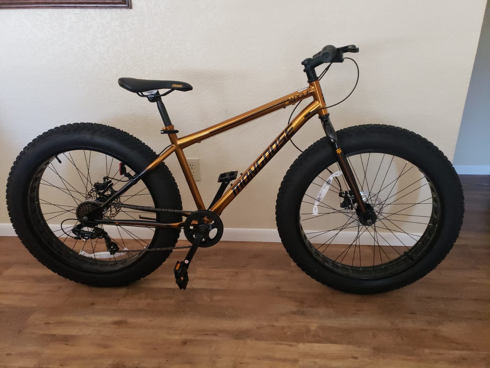 Mongoose Argus Trail or ST Fat Tire Mountain Bike, 20, 24 or 26 Inch Bike for Kids and Adults, 7 or 16 Speed, Aluminum or Steel Frame, Knobby Mountain Fat Tires, Mechanical Disc Brakes customer photo 1