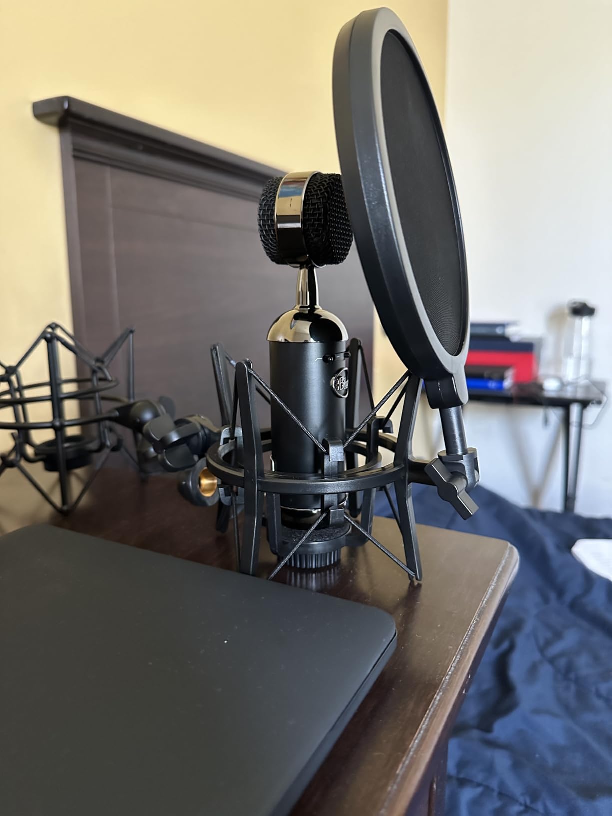 Bluebird Shock Mount with Pop Filter, Windscreen and Shockmount to Reduce Vibration Noise Matching Mic Boom Arm for Bluebird SL Microphone by YOUSHARES customer photo 2