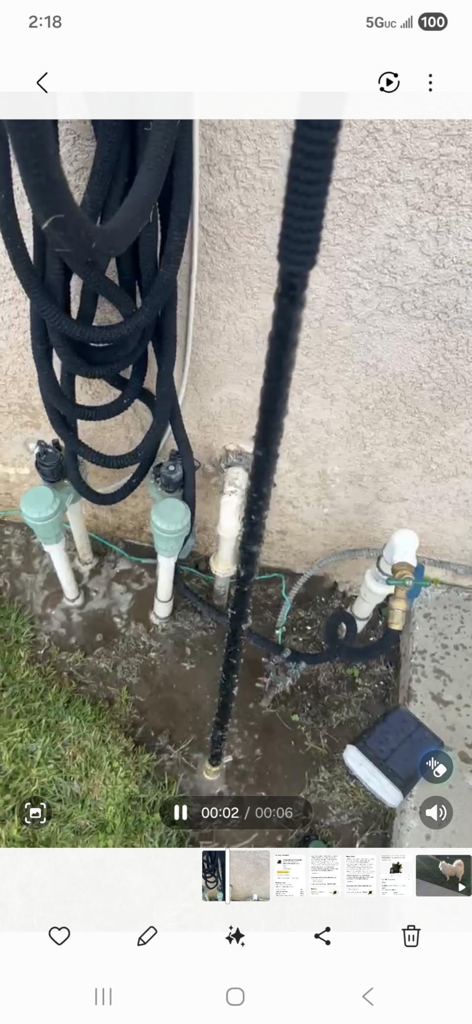 J&B XpandaHose 100ft Expandable Garden Hose, Lightweight, Brass Connectors customer photo 2